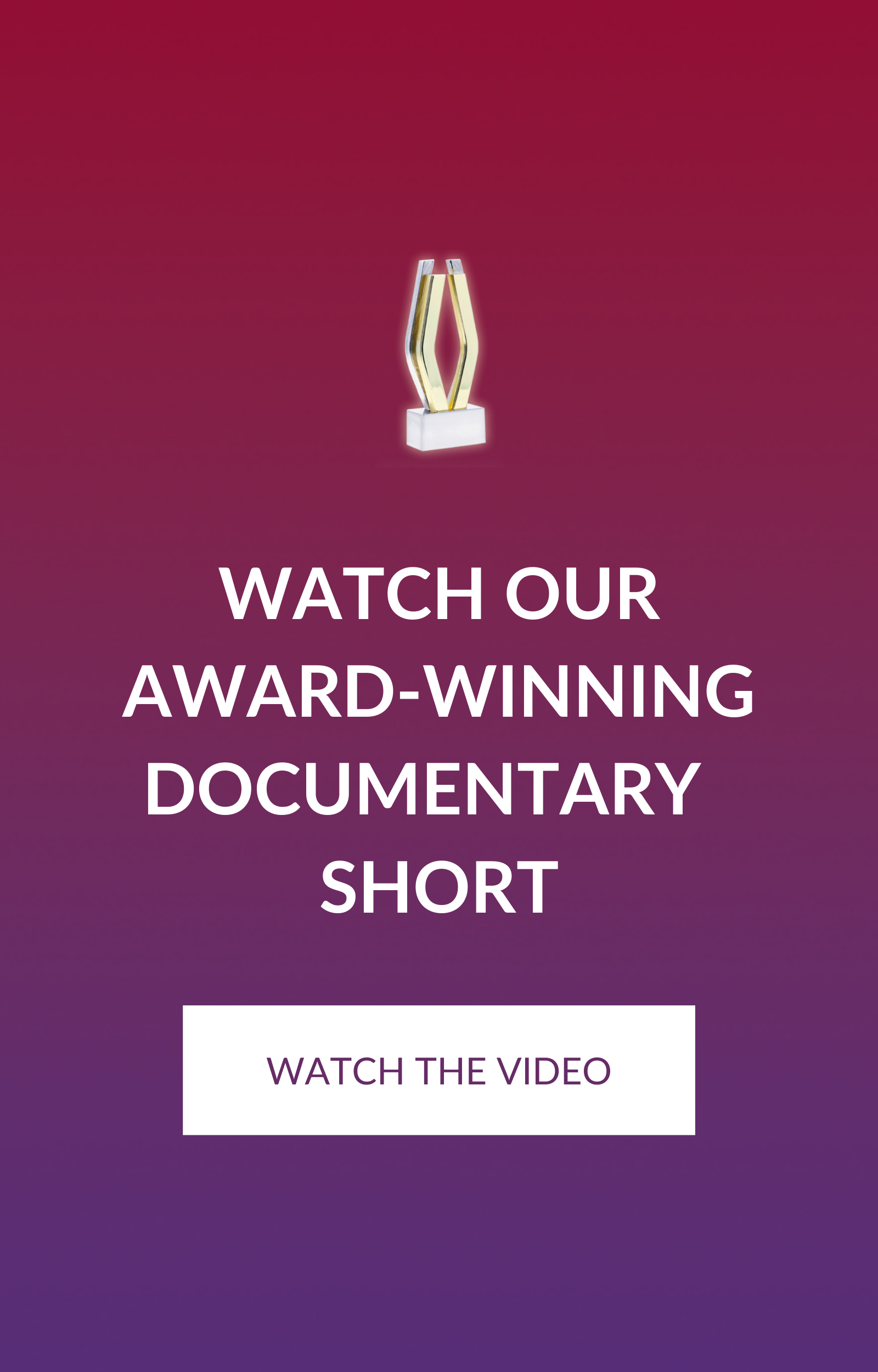 Capstone documentary by Lakin award screenshot