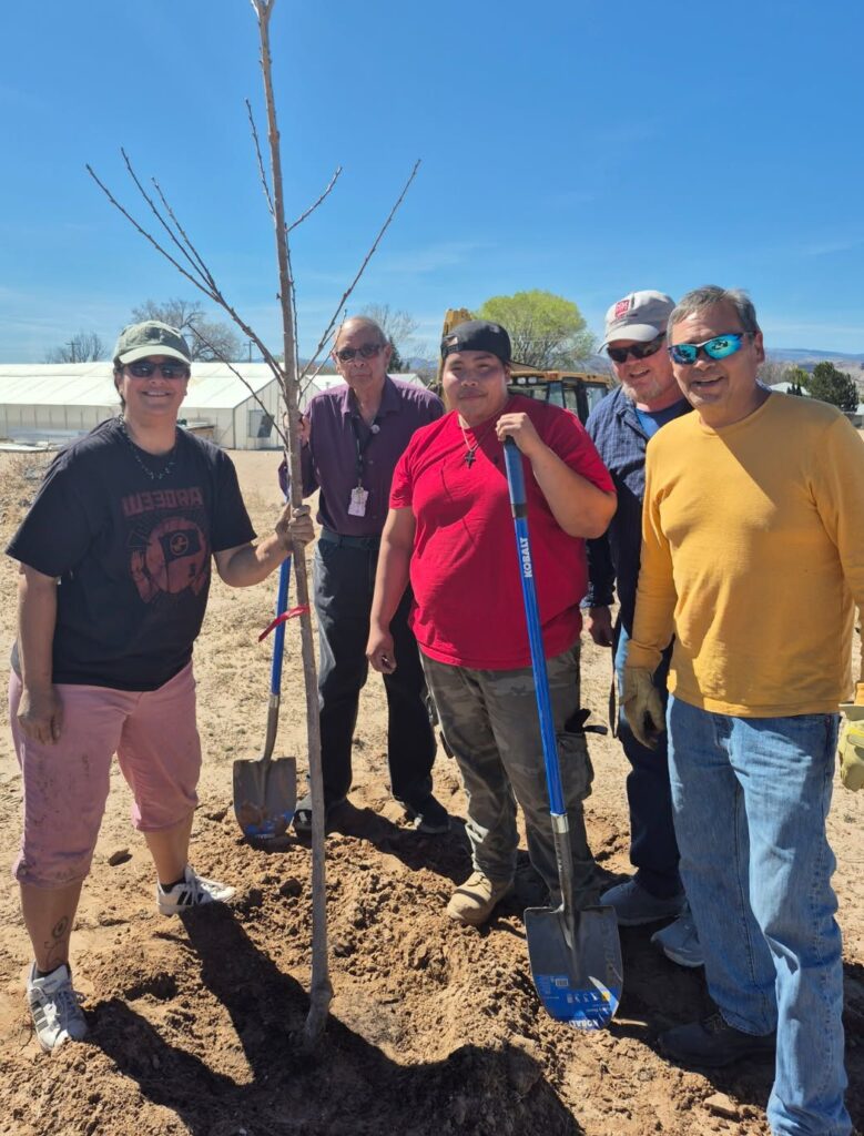 Jeremiah and team planting a tree.